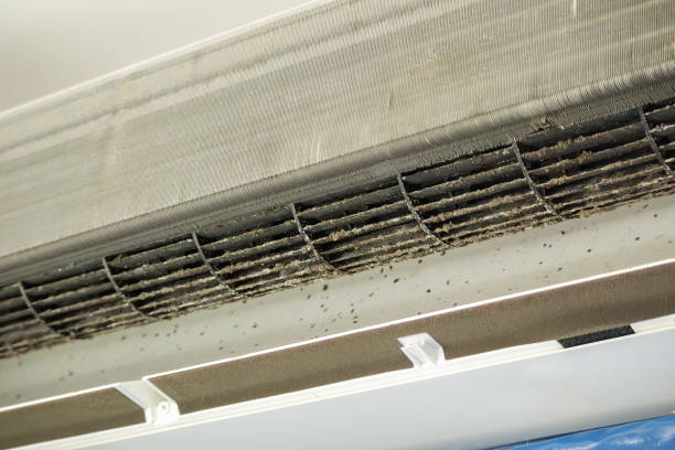 Best HVAC Air Duct Cleaning  in Tellico Village, TN